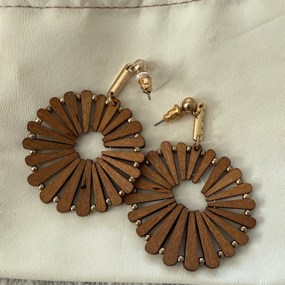 Elegant Brown Wooden Earrings